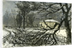 Kensington Gardens London 1887 Damage to Trees Near Queen's Gate by Anonymous