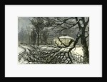 Kensington Gardens London 1887 Damage to Trees Near Queen's Gate by Anonymous