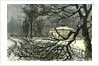 Kensington Gardens London 1887 Damage to Trees Near Queen's Gate by Anonymous