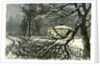 Kensington Gardens London 1887 Damage to Trees Near Queen's Gate by Anonymous