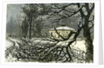 Kensington Gardens London 1887 Damage to Trees Near Queen's Gate by Anonymous