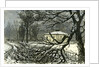 Kensington Gardens London 1887 Damage to Trees Near Queen's Gate by Anonymous