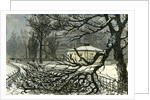 Kensington Gardens London 1887 Damage to Trees Near Queen's Gate by Anonymous