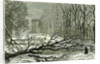 Kensington Gardens London 1887 Trees Blown in Broad Walk by Anonymous