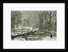 Kensington Gardens London 1887 Trees Blown in Broad Walk by Anonymous