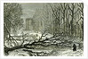 Kensington Gardens London 1887 Trees Blown in Broad Walk by Anonymous