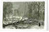 Kensington Gardens London 1887 Trees Blown in Broad Walk by Anonymous