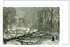 Kensington Gardens London 1887 Trees Blown in Broad Walk by Anonymous