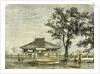 Three Kilometers from Saigon Vietnam 19th Century the Chinese Town by Anonymous