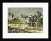 Saigon Rue De Gouvernement Vietnam 19th Century by Anonymous