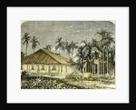 Saigon Rue De Gouvernement Vietnam 19th Century by Anonymous