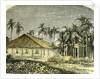 Saigon Rue De Gouvernement Vietnam 19th Century by Anonymous