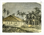 Saigon Rue De Gouvernement Vietnam 19th Century by Anonymous