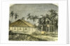 Saigon Rue De Gouvernement Vietnam 19th Century by Anonymous