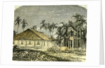 Saigon Rue De Gouvernement Vietnam 19th Century by Anonymous