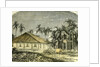 Saigon Rue De Gouvernement Vietnam 19th Century by Anonymous