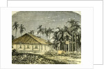 Saigon Rue De Gouvernement Vietnam 19th Century by Anonymous