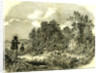 Pheasant Shooting UK 1850 by Anonymous