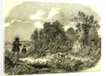 Pheasant Shooting UK 1850 by Anonymous