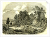 Pheasant Shooting UK 1850 by Anonymous