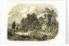Pheasant Shooting UK 1850 by Anonymous