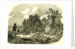 Pheasant Shooting UK 1850 by Anonymous