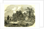 Pheasant Shooting UK 1850 by Anonymous