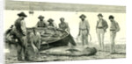 Caribbean Sea 1885 Shark Fishing Fish by Anonymous