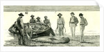 Caribbean Sea 1885 Shark Fishing Fish by Anonymous