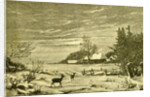 Winter Time Deer Austria 1891 by Anonymous