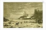 Winter Time Deer Austria 1891 by Anonymous