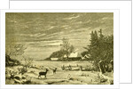 Winter Time Deer Austria 1891 by Anonymous