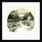 Hunt Austria 1891 by Anonymous