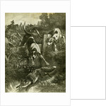 Hunt Austria Fox 1891 by Anonymous