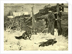 Fox Hunt Austria 1891 by Anonymous