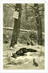 Hunting Fox Austria 1891 by Anonymous