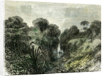 Sarayacu River Peru 1869 by Anonymous