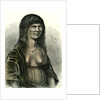 Sipibo Woman Peru 1869 by Anonymous