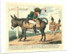 The journey of a modern hero, to the island of Elba by Anonymous