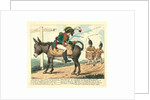 The journey of a modern hero, to the island of Elba by Anonymous