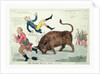 The Irish bull broke loose by Isaac Cruikshank