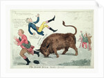 The Irish bull broke loose by Isaac Cruikshank