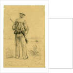 Sailor on Sentry by Alfred R Waud