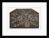 Needlework by Anonymous