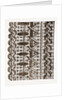Needlework by Anonymous