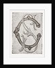 Monogram For Underlinen by Anonymous