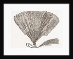 Fan For Evening Wear by Anonymous