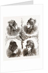 New Models Of Bonnets by Anonymous