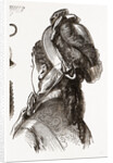 19th Century Fashion, Bonnet by Anonymous