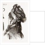 19th Century Fashion, Bonnet by Anonymous